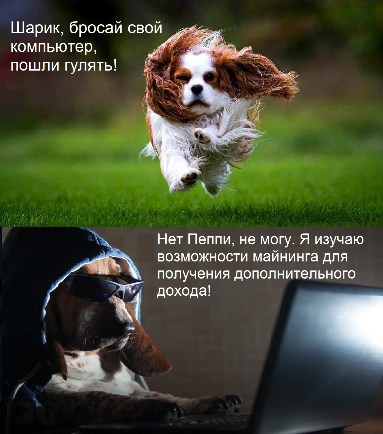 1-1.jpg