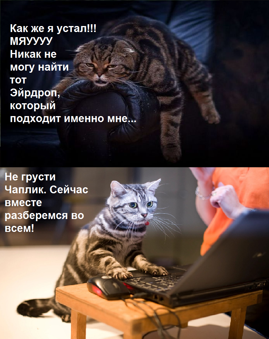 7.png